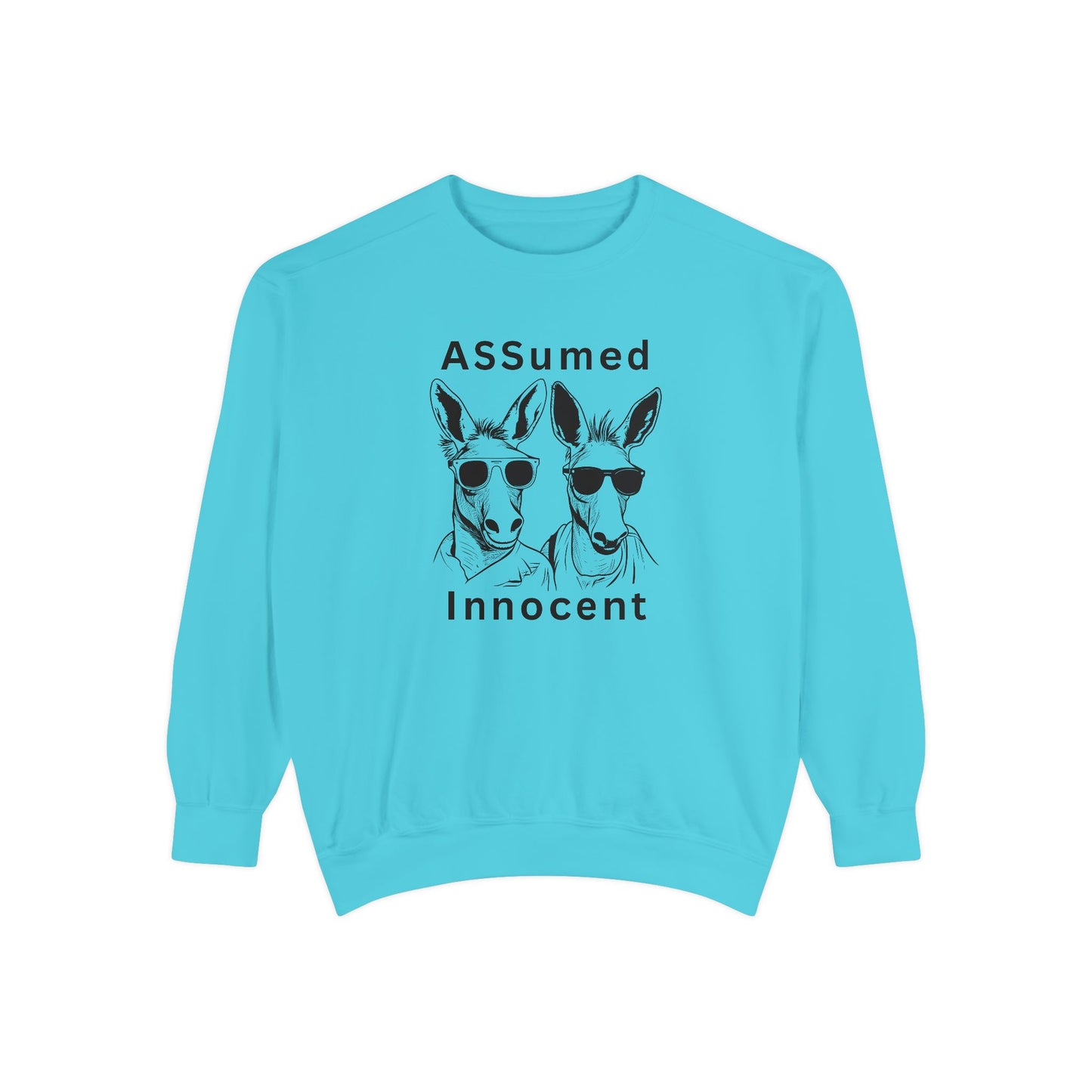 ASSUmEm Innocent Unisex Sweatshirt - Funny Animal Graphic Pullover for Casual Wear