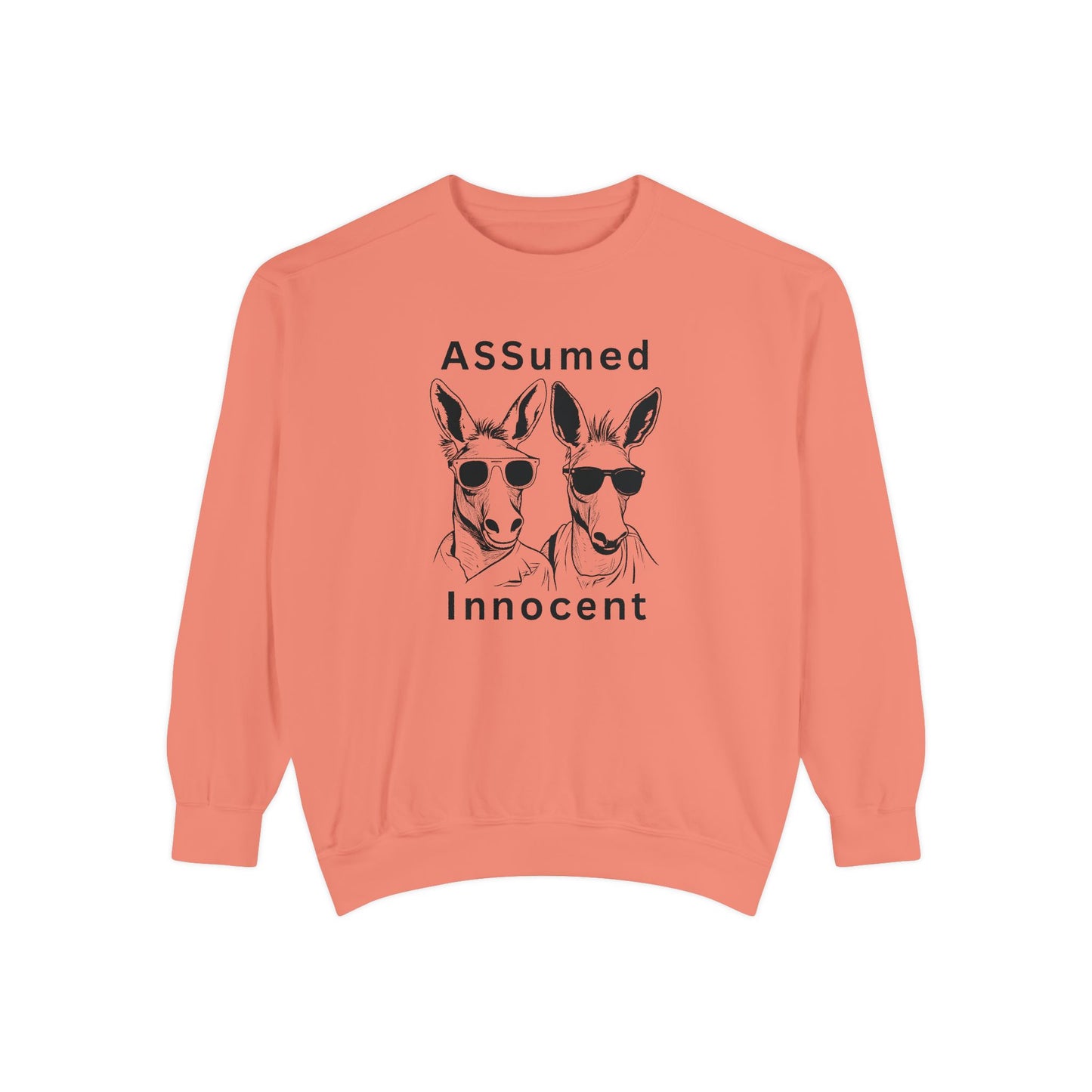 ASSUmEm Innocent Unisex Sweatshirt - Funny Animal Graphic Pullover for Casual Wear