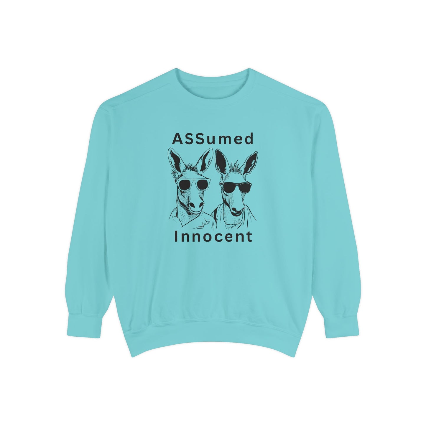 ASSUmEm Innocent Unisex Sweatshirt - Funny Animal Graphic Pullover for Casual Wear