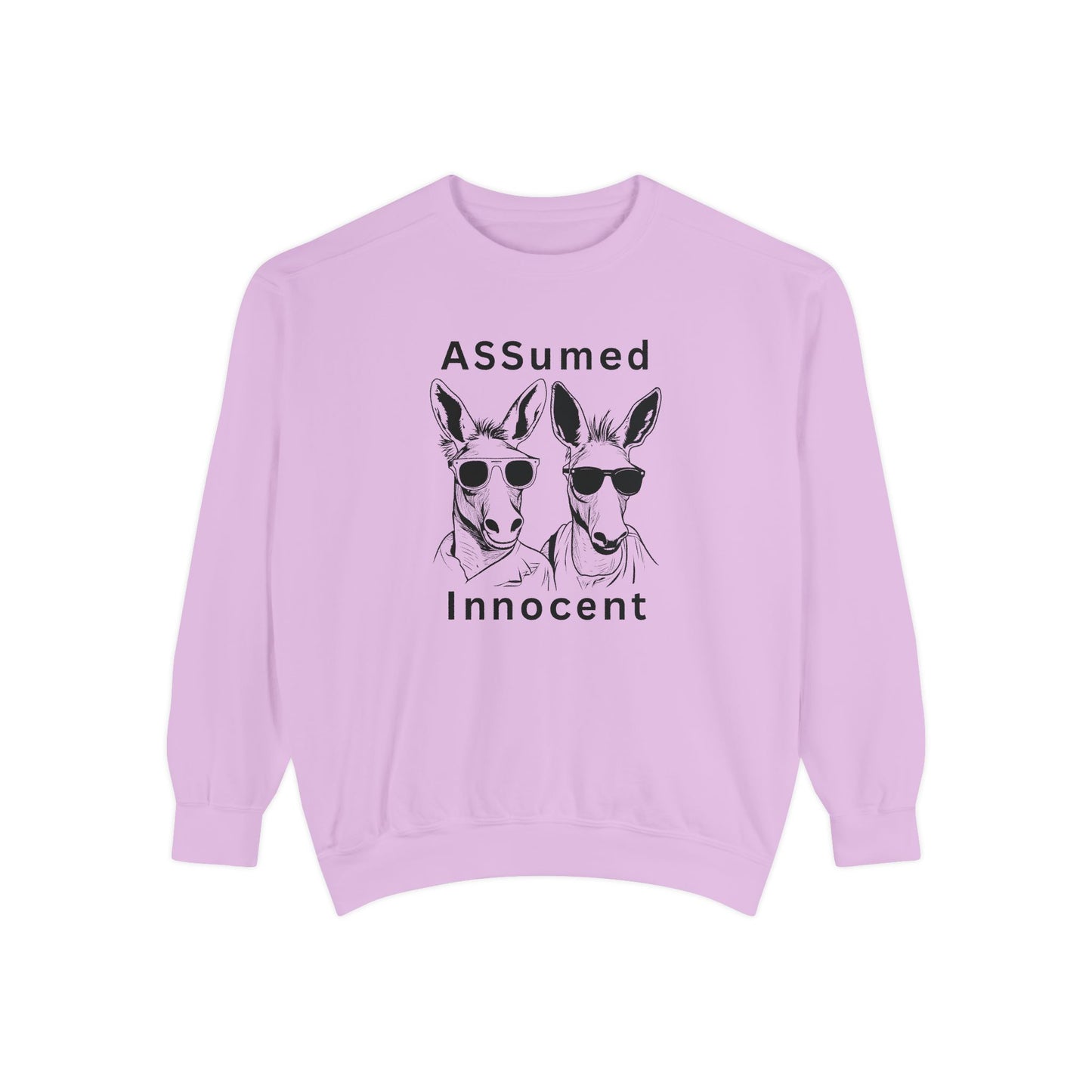 ASSUmEm Innocent Unisex Sweatshirt - Funny Animal Graphic Pullover for Casual Wear