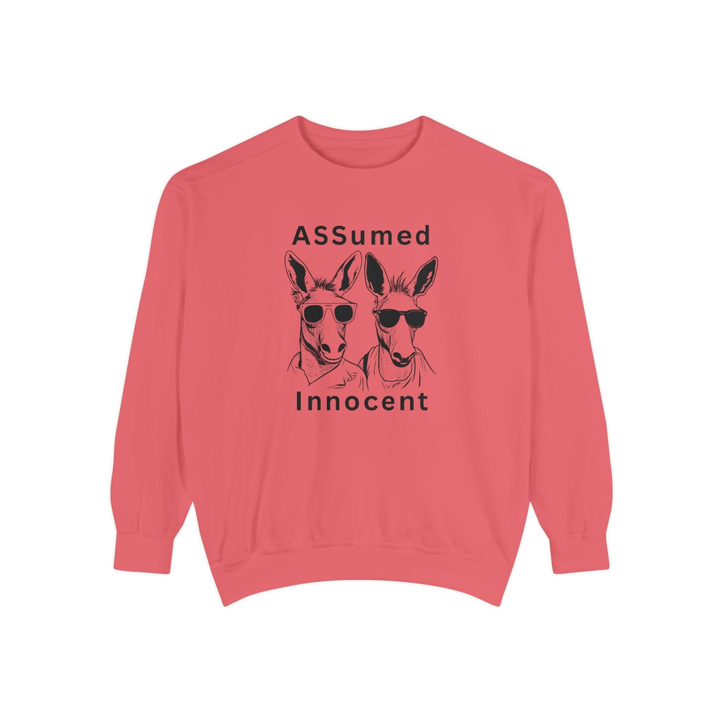 ASSUmEm Innocent Unisex Sweatshirt - Funny Animal Graphic Pullover for Casual Wear