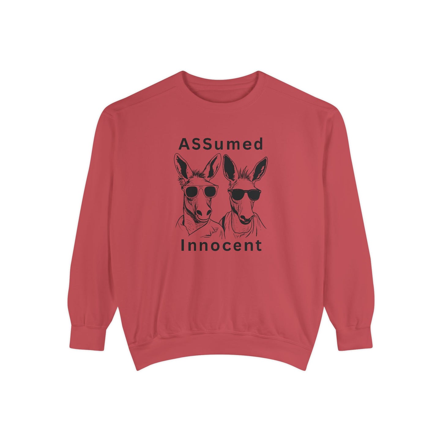 ASSUmEm Innocent Unisex Sweatshirt - Funny Animal Graphic Pullover for Casual Wear